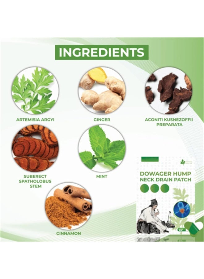 لصقة تصريف الرقبة العضوية، لصقة آلام الرقبة من الشيح، لصقة العمود الفقري العنقي، تعالج آلام العضلات وتحسن جودة النوم للمكتب، المنزل، في الهواء الطلق (24 قطعة) - Image 5