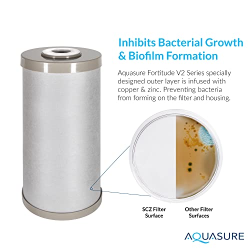 Aquasure Fortitude V2 Series Sediment/Carbon/Zinc Bacteria Inhibiting Triple Purpose Replacement Filter - Standard (Sediment/Carbon/Zinc, Standard) - Image 3