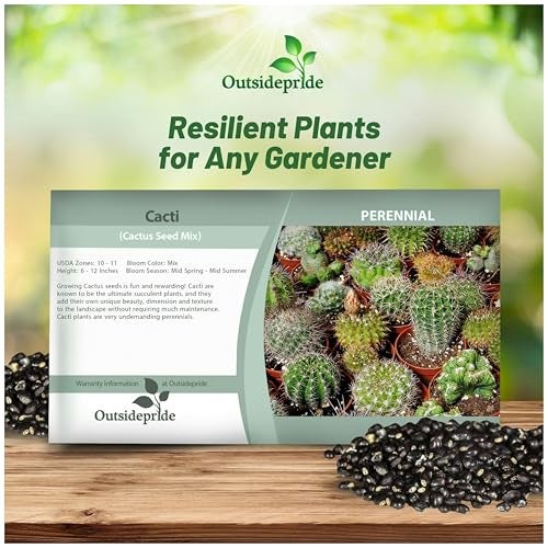 Outsidepride Mix Cactus Seeds - 1000 Pcs Perennial, Drought-Tolerant & Low Maintenance Succulent Seeds for Planting Blooms with Thick & Fleshy Stems for Sunny Gardens & Windowsills - Image 4