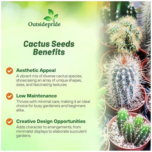 Outsidepride Mix Cactus Seeds - 1000 Pcs Perennial, Drought-Tolerant & Low Maintenance Succulent Seeds for Planting Blooms with Thick & Fleshy Stems for Sunny Gardens & Windowsills - Image 3