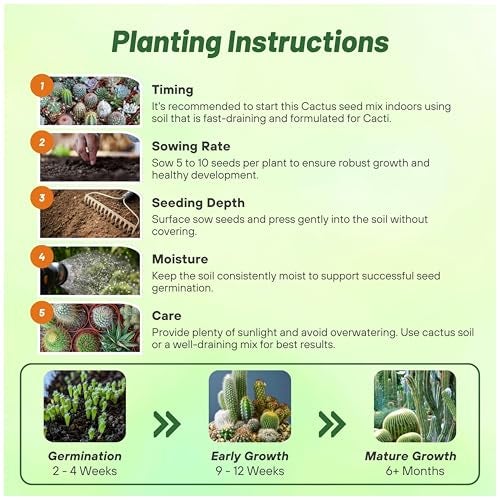 Outsidepride Mix Cactus Seeds - 1000 Pcs Perennial, Drought-Tolerant & Low Maintenance Succulent Seeds for Planting Blooms with Thick & Fleshy Stems for Sunny Gardens & Windowsills - Image 5