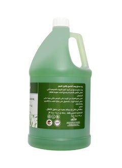 جلوبال ستار جلوبال ستار زيت المساج وبعد الشمع باكليل الجبل 3.8 لتر  - Image 2