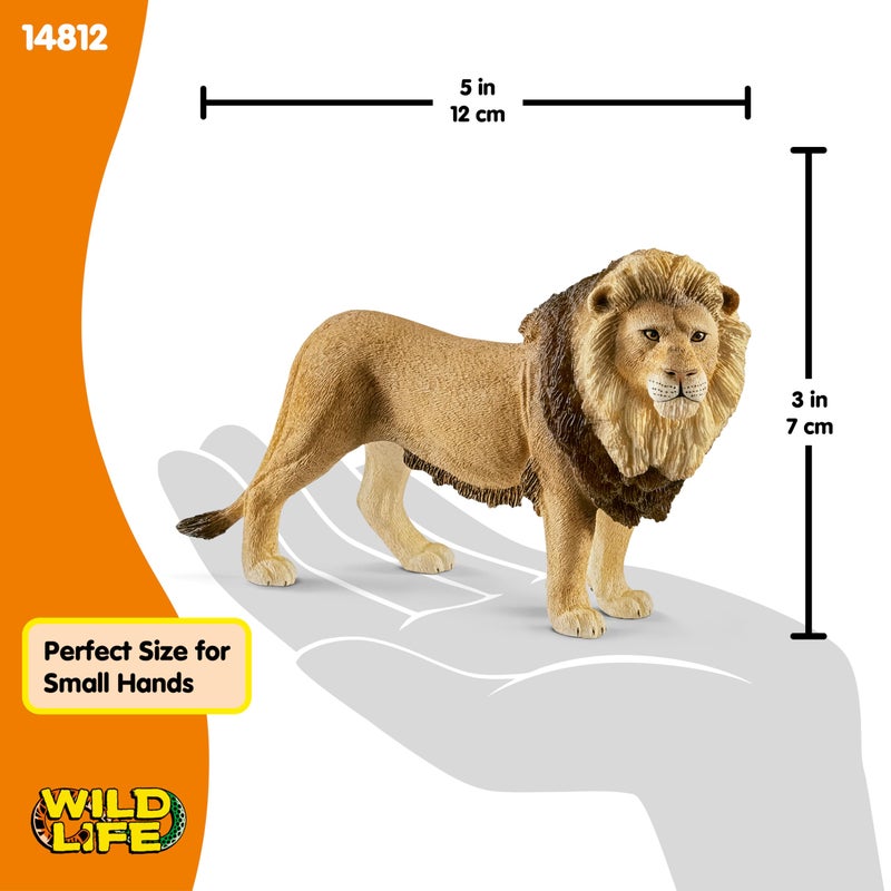 Schleich شلايخ وايلد لايف - تمثال أسد بطول 4.5 بوصة - لعبة تمثال أسد أفريقي واقعي ودائم - ملك الغابة الواقعي - ألعاب ممتعة وتعليمية للأولاد والبنات، هدية للأطفال من عمر 3 سنوات فما فوق - Image 5