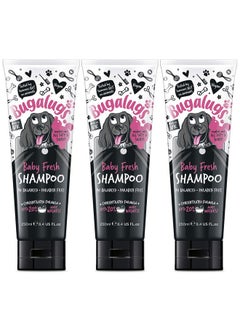 BUGALUGS Baby Fresh Dog Shampoo Dog Grooming Shampoo Products for Smelly Dogs with Baby Powder Scent, Best Puppy Shampoo Baby Fresh, Shampoo Conditioner, Vegan pet Shampoo Professional (3X 250ml)