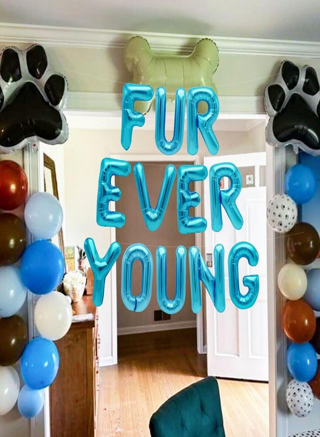 Roaring Good Time 15 PCS Blue Dog Birthday Party Decoration Fur Ever Young Pet Puppy Birthday Party Supplies Decorations Lets Pawty Balloons Puppy Themed Birthday Decorations Dog Balloons - Image 5
