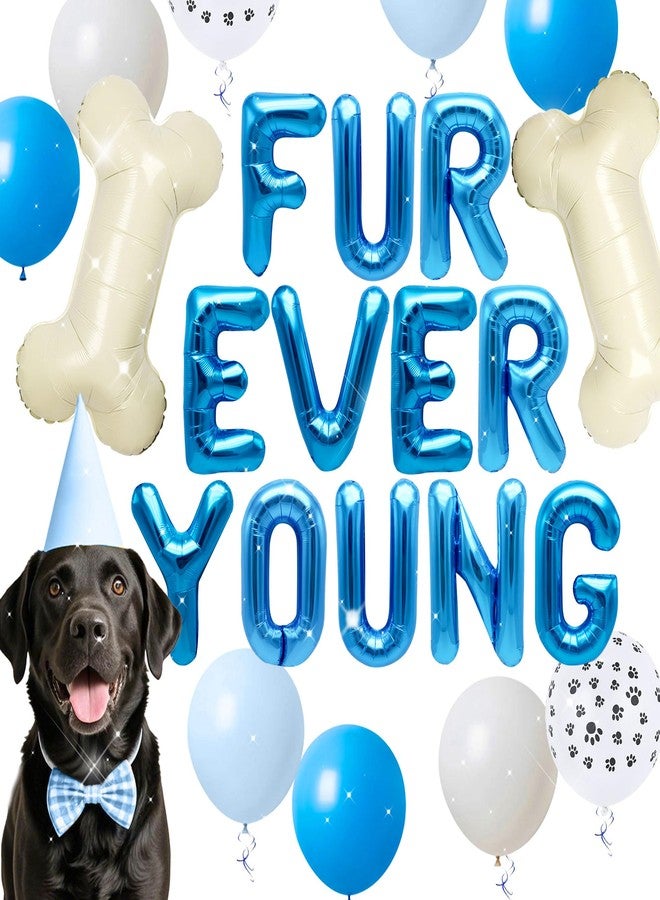 Roaring Good Time 15 PCS Blue Dog Birthday Party Decoration Fur Ever Young Pet Puppy Birthday Party Supplies Decorations Lets Pawty Balloons Puppy Themed Birthday Decorations Dog Balloons - Image 1