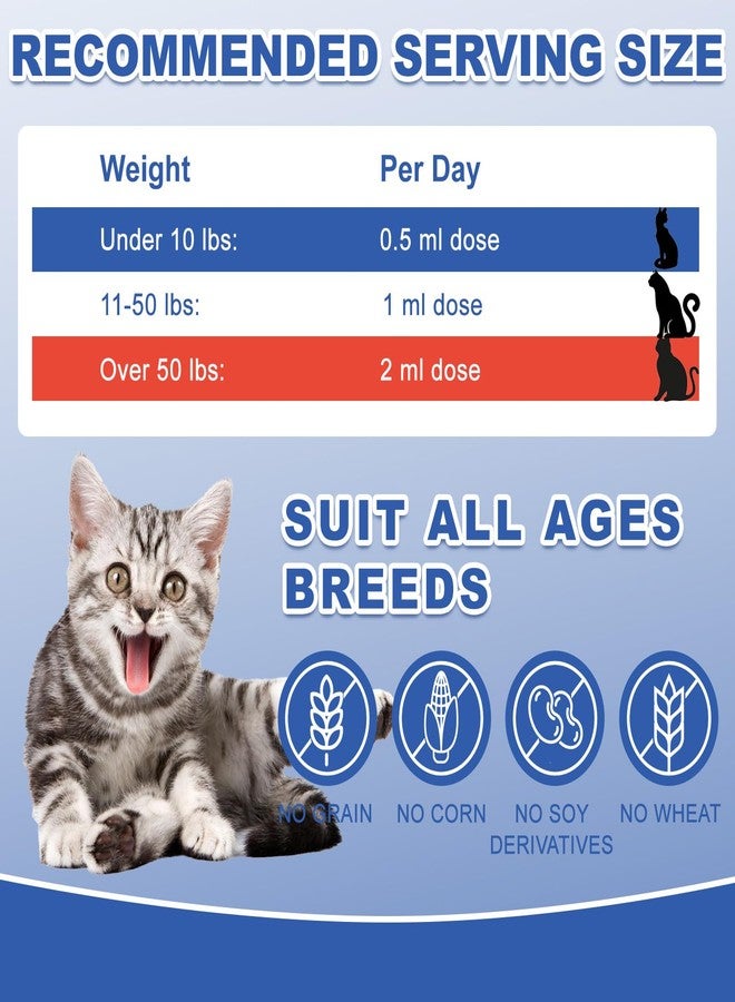 Netrca Cat Appetite Stimulant - Vitamin B12 (Methylcobalamin) Liquid Supplement - Boosts Appetite, Energy, and Mood - 60 ml - Image 4