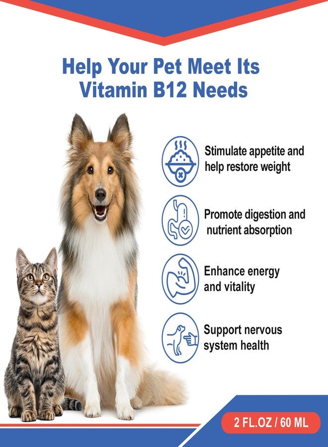 Netrca Cat Appetite Stimulant - Vitamin B12 (Methylcobalamin) Liquid Supplement - Boosts Appetite, Energy, and Mood - 60 ml - Image 2