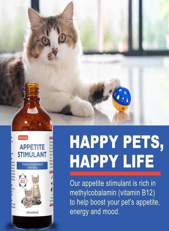 Netrca Cat Appetite Stimulant - Vitamin B12 (Methylcobalamin) Liquid Supplement - Boosts Appetite, Energy, and Mood - 60 ml - Image 3
