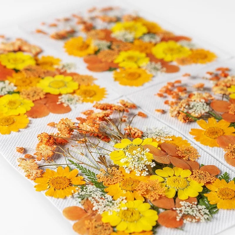 Bluejw Art Floral Decors Nail Pendant Crafts with Real Dried Pressed Flowers – Natural Leaves & Petals for Resin Nail Art, Dried Plants for DIY Jewelry and Decor - Image 3