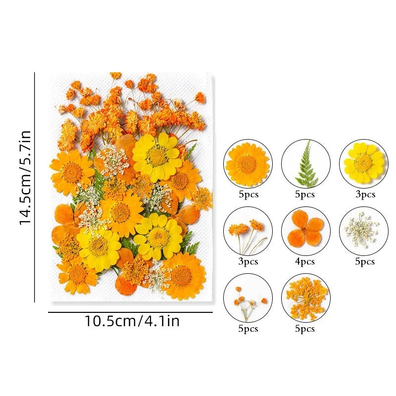 Bluejw Art Floral Decors Nail Pendant Crafts with Real Dried Pressed Flowers – Natural Leaves & Petals for Resin Nail Art, Dried Plants for DIY Jewelry and Decor - Image 1
