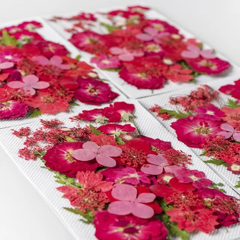 Bluejw Art Floral Decors Nail Pendant Crafts with Real Dried Pressed Flowers – Natural Leaves & Petals for Resin Nail Art, Dried Plants for DIY Jewelry and Decor - Image 2