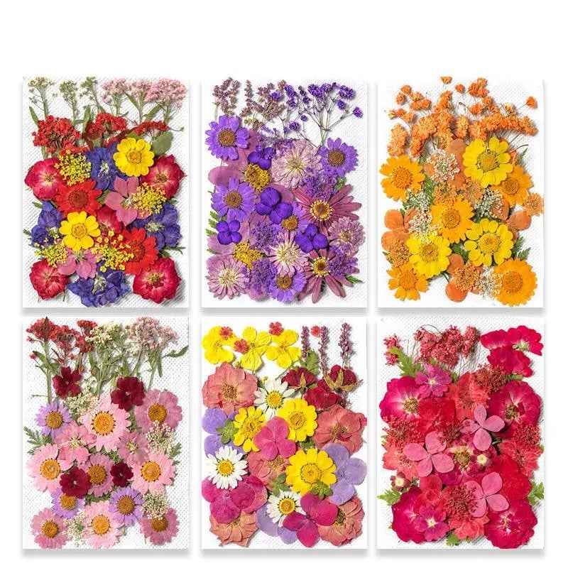 Bluejw Art Floral Decors Nail Pendant Crafts with Real Dried Pressed Flowers – Natural Leaves & Petals for Resin Nail Art, Dried Plants for DIY Jewelry and Decor - Image 4