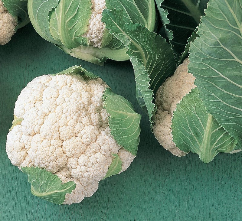 Burpee Early White Hybrid Cauliflower Seeds 100 seeds - Image 3