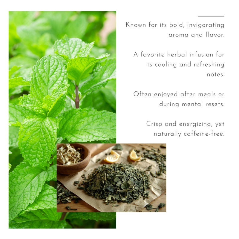 Celest 100% Natural Peppermint Tea - 50 Tea Bags (Pack of 4) | Peppermint Infusion Tea - Image 4