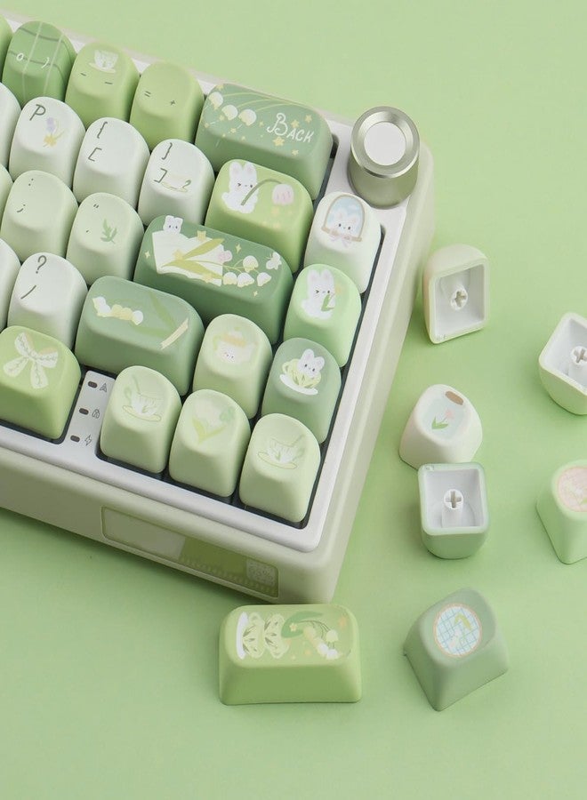 TYRIXKI PBT Keycaps 134 Keys MOA Profile Cute Keycaps Dye-Sublimation Green Bunny Keycap Custom Keycap Set for Cherry Gateron MX Swithes Mechanical Keyboards - Image 2