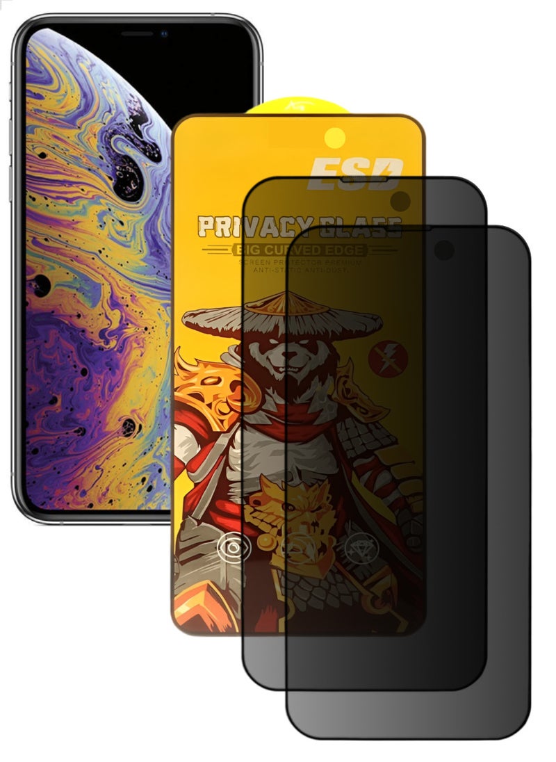 ESD 2 Pieces Tempered Dustproof Privacy Glass Screen Protector Compatible For iPhone XS Max - Image 1