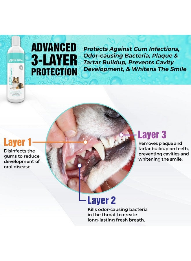 alpha paw Alpha Paw Magic Mouthwash for Dogs, Natural Water Additive, Canine Breath Freshener, Dog Essentials for Plaque and Tartar Treatment, Made in The USA (8 oz) - Image 5