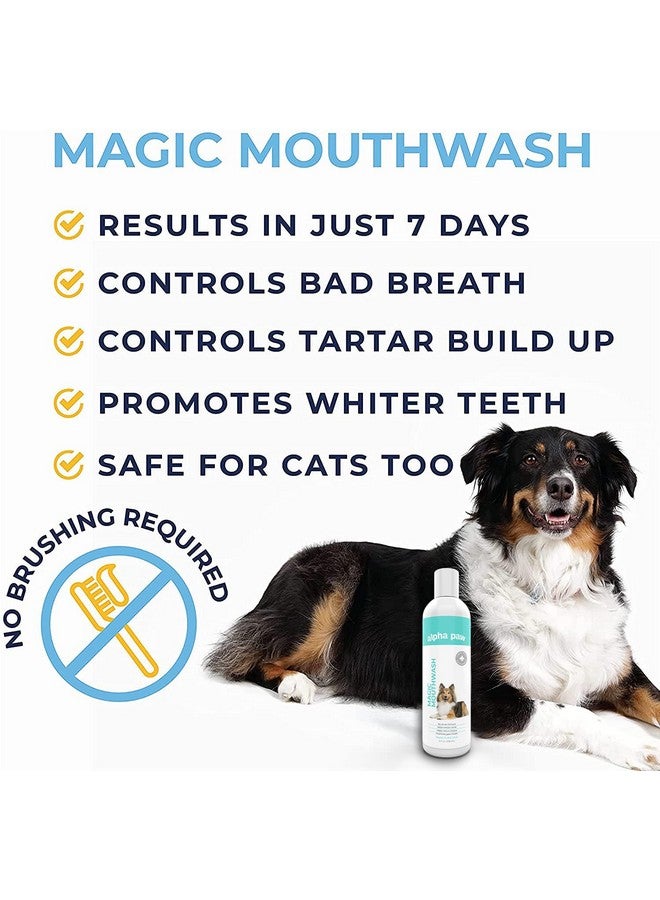 alpha paw Alpha Paw Magic Mouthwash for Dogs, Natural Water Additive, Canine Breath Freshener, Dog Essentials for Plaque and Tartar Treatment, Made in The USA (8 oz) - Image 3