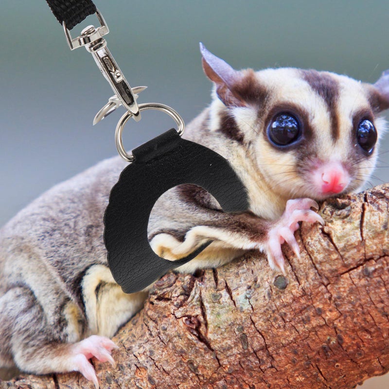 Portable Adjustable Hamster Harness Leash Set Brown Black Small Animals - Image 4