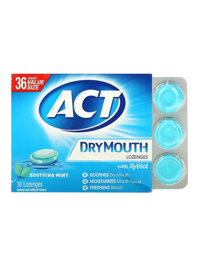 Act Dry Mouth with Xylitol Soothing Mint 36