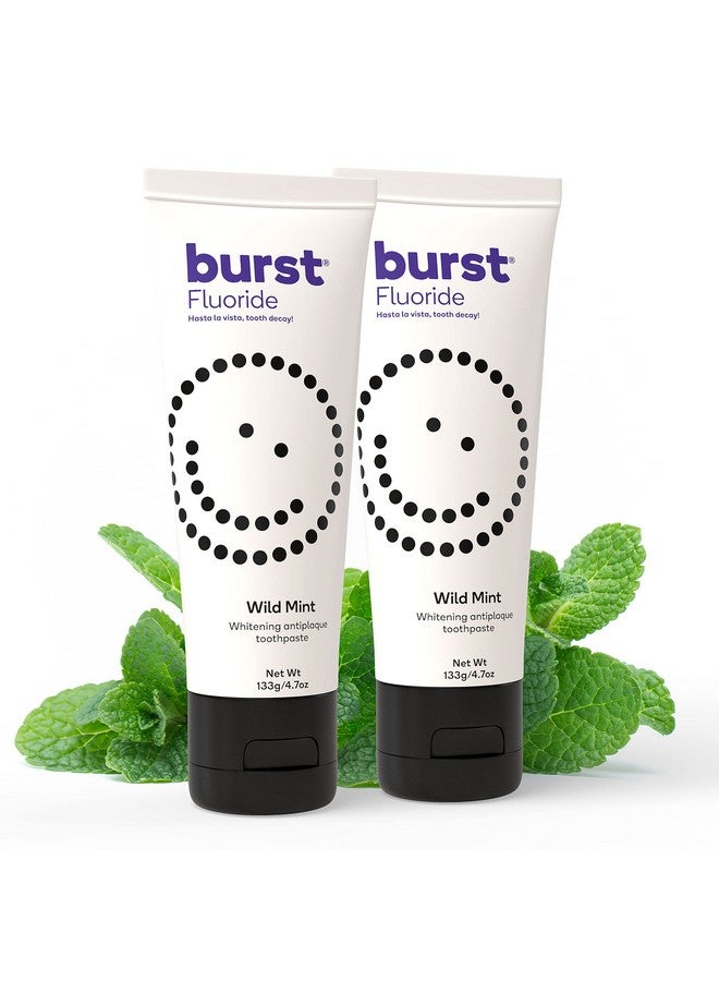 BURST Toothpaste With Cavity Fighting Fluoridewhitening Toothpaste For Stain Removalsensitive Toothpaste With Xylitolvegan Gluten Free Sls Free Toothpastewild Mint 4.7Oz (2 Pack) - Image 1