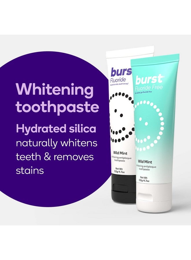 BURST Toothpaste With Cavity Fighting Fluoridewhitening Toothpaste For Stain Removalsensitive Toothpaste With Xylitolvegan Gluten Free Sls Free Toothpastewild Mint 4.7Oz (2 Pack) - Image 2