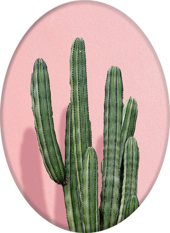 PopSockets Stand for Smartphones and Tablets - Aspyn Cactus Land - Image 2