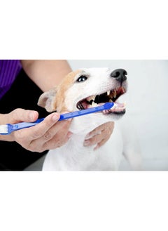 Dog Toothbrush Set - pzsku/ZA655CDABA68ADED5CE8EZ/45/_/1737031576/d3b696e3-e55d-4c83-8edb-833c15ca1ea8