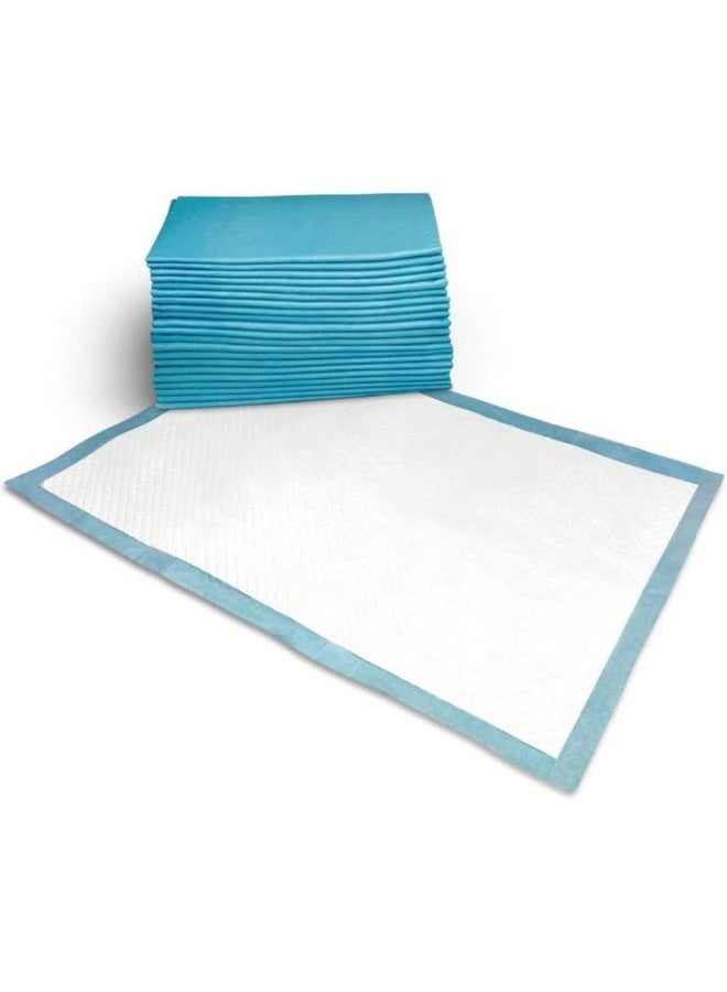 DISPOSABLE UNDER PAD (60*90CM) (PACK OF 10s) - Image 1