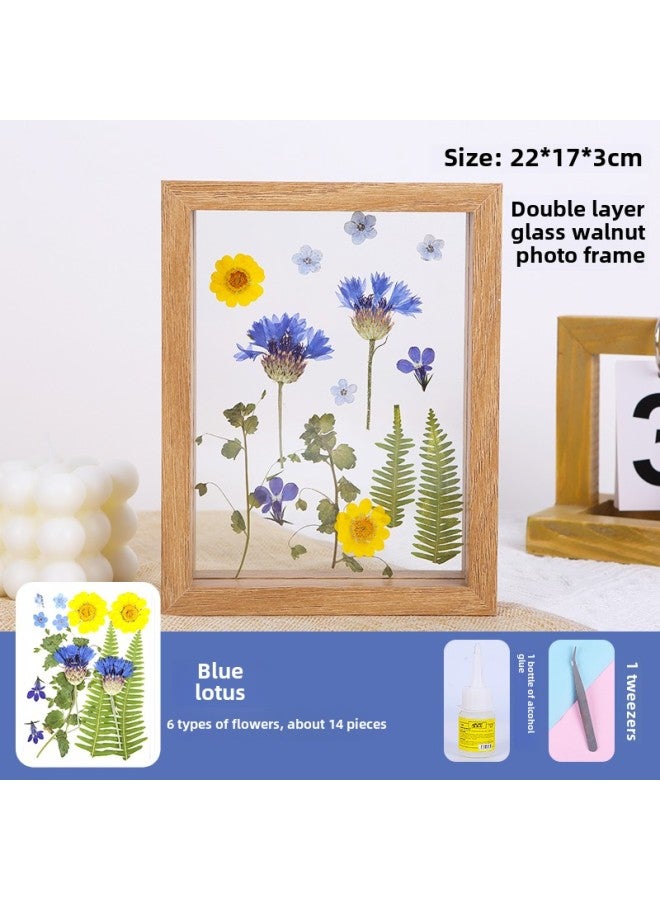 Dried Flower Embossed Photo Frame Acrylic Transparent Plastic Film Handmade DIY Material Plant Leaf Specimen Glass Frame-Colour:Other Sizes - 8inch Double Glass Frame + Blue Lotus + Glue + Tweezers  - Image 1