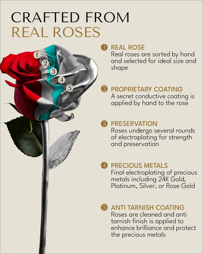 Forever Rose Real Rose Dipped in Platinum, Handcrafted Preserved Rose in Luxury Gold Gift Box, Romantic Gift for Her, Elegant Keepsake for Anniversary, Birthday, or Any Special Occasion - Image 2