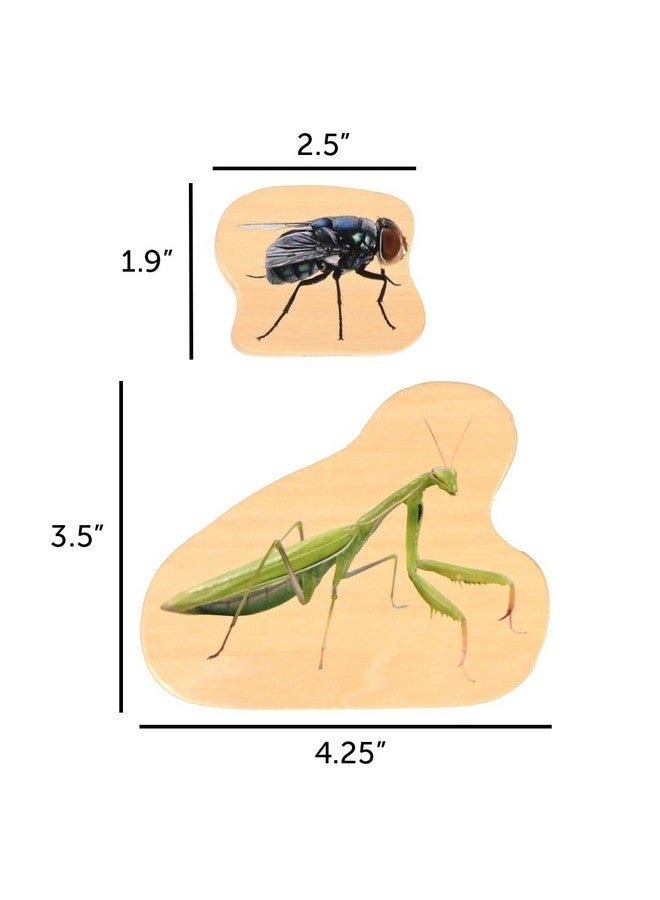 TickiT كتل الحشرات الخشبية من تيكي - مجموعة من 15 - Image 3