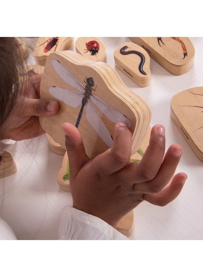 TickiT كتل الحشرات الخشبية من تيكي - مجموعة من 15 - Image 5
