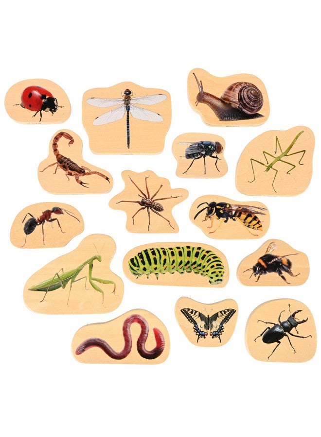 TickiT كتل الحشرات الخشبية من تيكي - مجموعة من 15 - Image 1