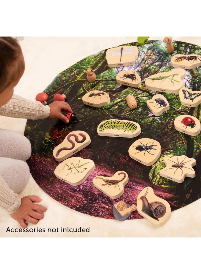 TickiT كتل الحشرات الخشبية من تيكي - مجموعة من 15 - Image 4