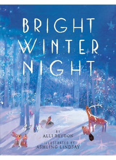 Bright Winter Night