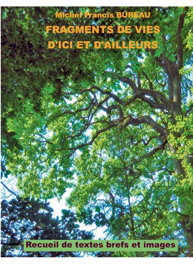 Fragments de vies d'ici et d'ailleurs: Recueil de textes brefs et images 
