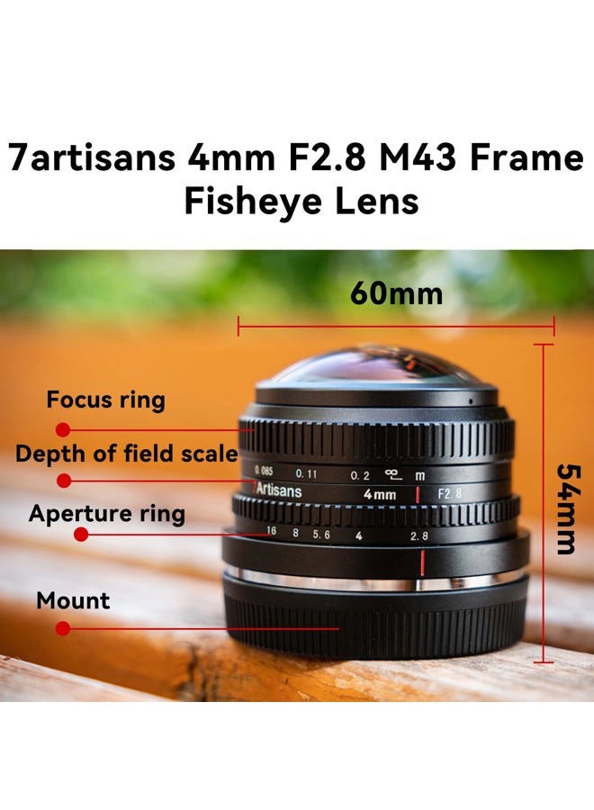 7artisans 4mm F2.8 Fisheye Ultra Wide Angle Lens Manual Focus Prime Lens Compatible M4/3 Mount Mirrorless Cameras for Panasonic GH3 GH4 GF1 GM1 GM5 for Olympus E-M1 E-M5 E-M10 - Image 3
