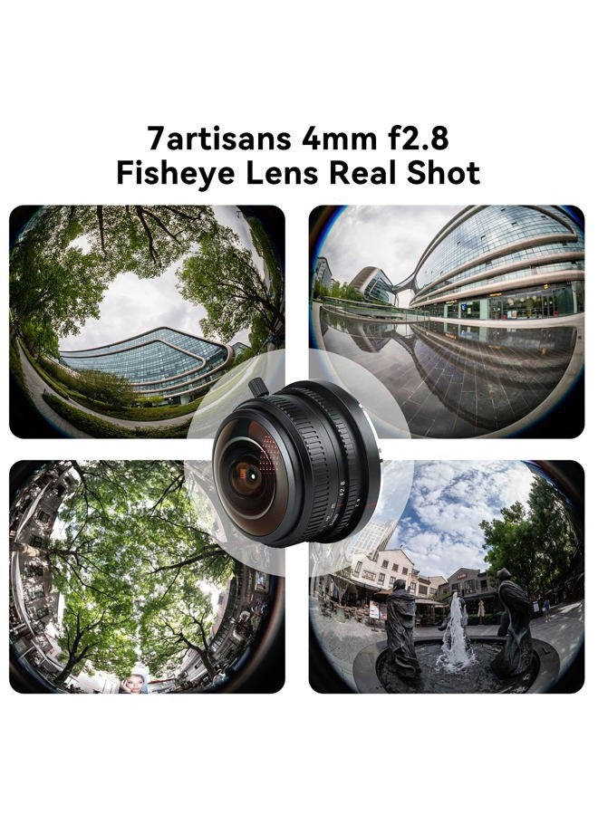 7artisans 4mm F2.8 Fisheye Ultra Wide Angle Lens Manual Focus Prime Lens Compatible M4/3 Mount Mirrorless Cameras for Panasonic GH3 GH4 GF1 GM1 GM5 for Olympus E-M1 E-M5 E-M10 - Image 2