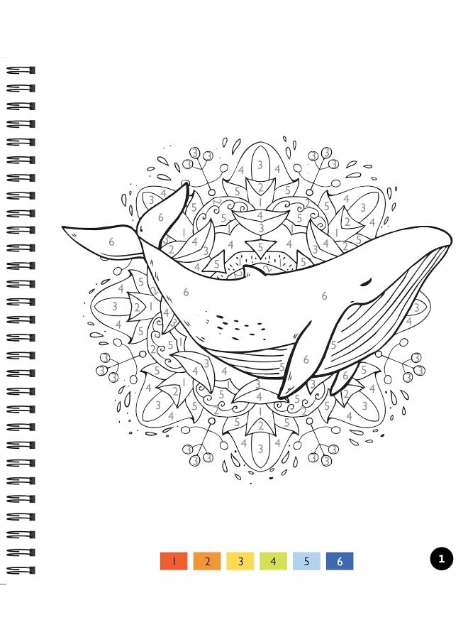 null - Publications International Brain Games - Color by Number - Large Print: Ocean - Image 1