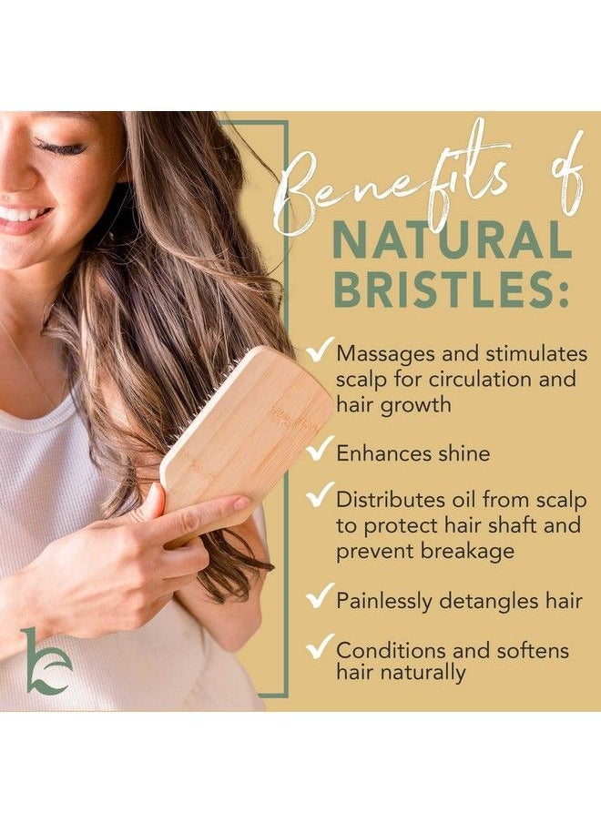 Beauty by Earth - Boar Hair Brush For Fine Hair Boar Bristle Hair Brush For Thick Hair Boar Brush For Fine Hair Mens Hair Brush For Thin Hair Boars Hair Brush For Women - Image 1