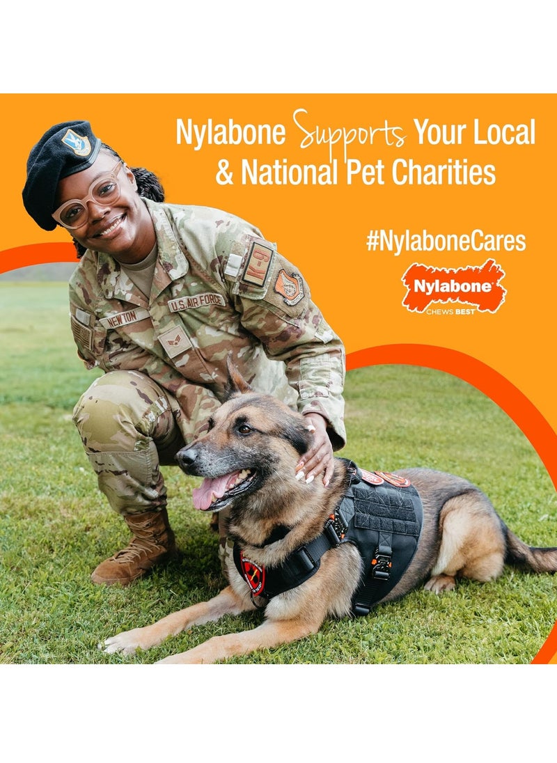 Nylabone Gentle Puppy Dog Teething Chew Toy Bone Chicken Flavour Small for Puppies Up to 11 kg  - Image 4