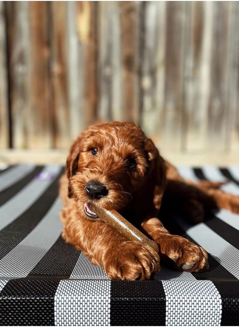 Nylabone Gentle Puppy Dog Teething Chew Toy Bone Chicken Flavour Small for Puppies Up to 11 kg  - Image 5