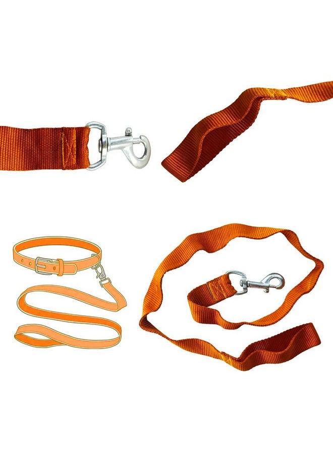 DIY Crafts Pack Of 4 Pcs, Orenge, Collar Belt Chain & Leash For Puppies, Dogs (Pack Of 4 Pcs, Orenge)  - Image 1