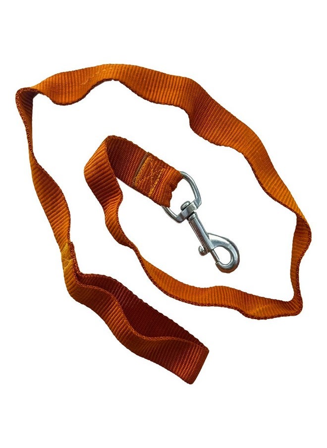 DIY Crafts Pack Of 4 Pcs, Orenge, Collar Belt Chain & Leash For Puppies, Dogs (Pack Of 4 Pcs, Orenge)  - Image 2