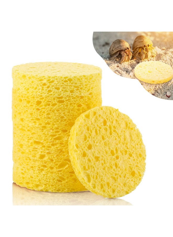 Cunhill 12 Pieces Hermit Crab Sponges Pet Crab Sea Sponges Unbleached Hermit Crab Supplies Sponge Provide Nutrients Crab Sponges Hermit Crab Accessories for Maintaining Hermit Crab Tank Humidity Supplies - Image 1