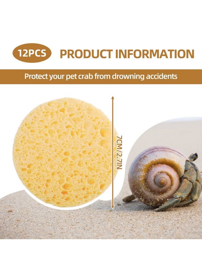 Cunhill 12 Pieces Hermit Crab Sponges Pet Crab Sea Sponges Unbleached Hermit Crab Supplies Sponge Provide Nutrients Crab Sponges Hermit Crab Accessories for Maintaining Hermit Crab Tank Humidity Supplies - Image 2