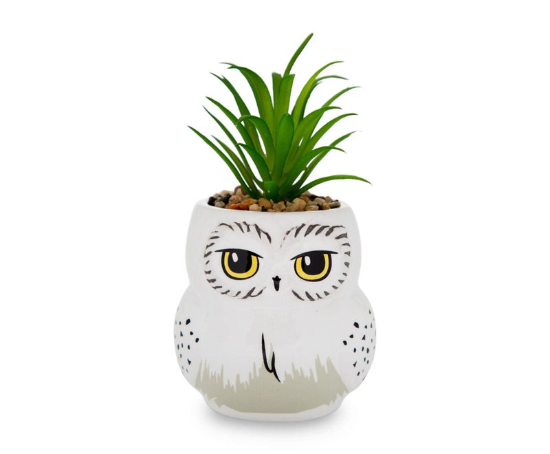 Silver Buffalo Harry Potter Hedwig 3Inch Ceramic Mini Planter with Artificial Succulent  Small Flower Pot Faux Indoor Plants For Desk Shelf Home Decor Trinket Tray  Wizarding World Gifts and Collectibles