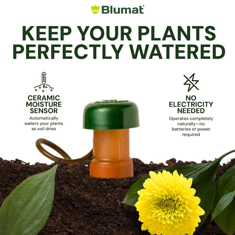 Blumat Classic Self-Watering Stakes - Prevents Overwatering and Underwatering for Healthy Growth While You are Away - Ideal for Indoor Plant Watering, 6 Pack, w Adapter - Image 5